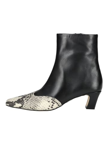Steve Madden Stiefelette in Schwarz