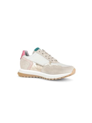 Gabor Sneaker low in multicolour