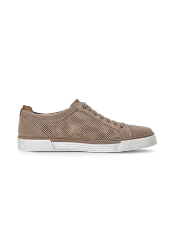 Pius Gabor Sneaker low in beige