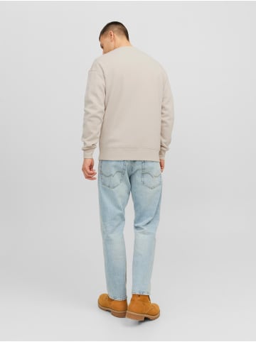 Jack & Jones Weiches Sweatshirt mit 3D Print Relaxed Fit JORVESTERBRO in Sand