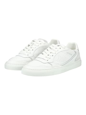 Pavement Sneaker CECILIE Weiß/Grau