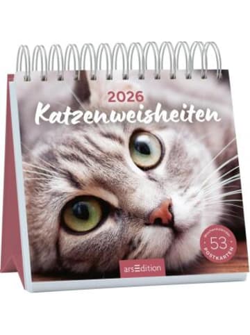 ars edition Kalender - Postkartenkalender Katzenweisheiten 2026