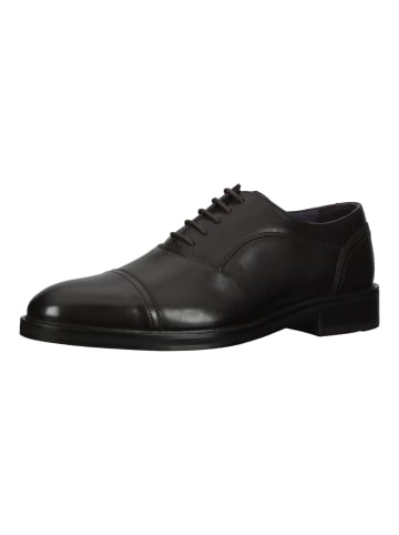 Baldessarini Businessschuhe in Schwarz/Braun