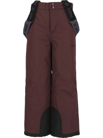 Zigzag Skihose Provo in 4241 Fudge