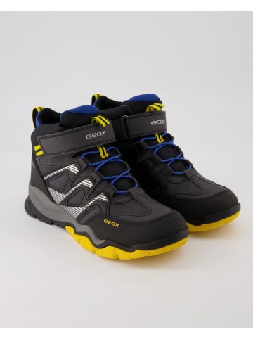 Geox Schnürstiefel in Blau