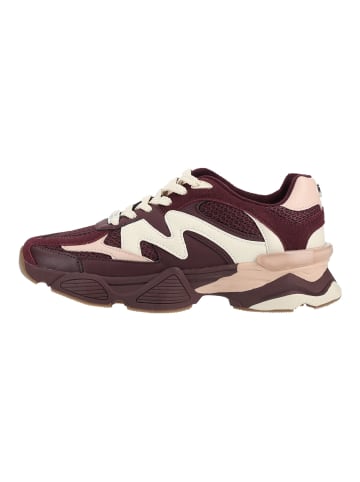 Steve Madden Sneaker SPEEDER in Rot/Pink