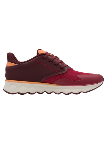 Tamaris Sneaker in BERRY COMB