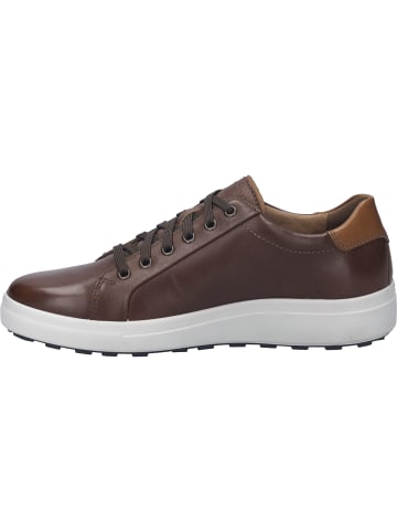 Josef Seibel Sneaker Maddox 05 in braun