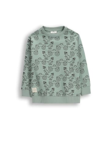 Coccodrillo Trainingsjacke in grün