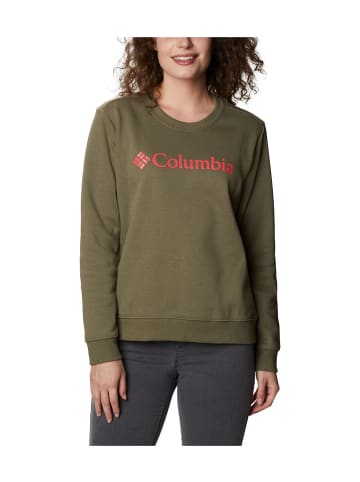 Columbia Sweatshirt in Grün