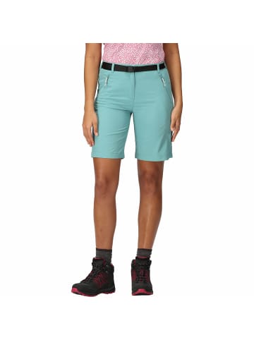 Regatta Funktionsshorts Xert Str in Petrol