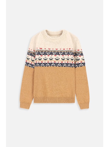 Coccodrillo Strickpullover in bunt