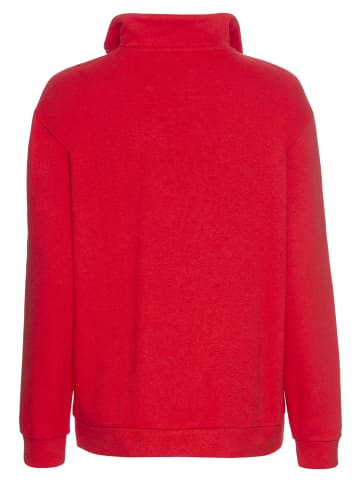 Delmao Sweatshirt in rot