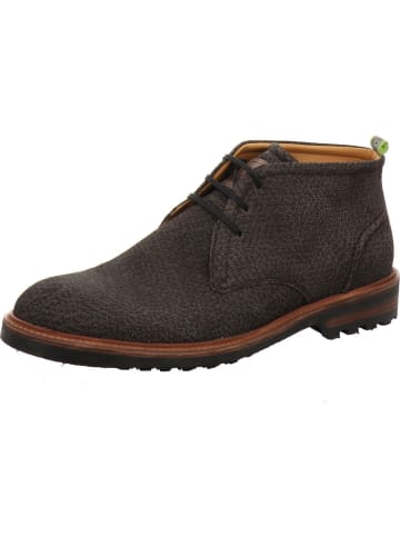 Floris van Bommel Stiefeletten/Boot in grau