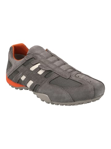 Geox Sneakers Low U Snake L Scam.+Mesh in grau