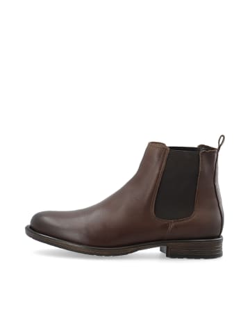 Bianco Chelsea Boots in DarkBrown