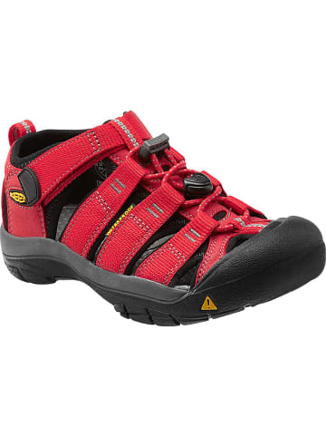 Keen NEWPORT H2 in Rot