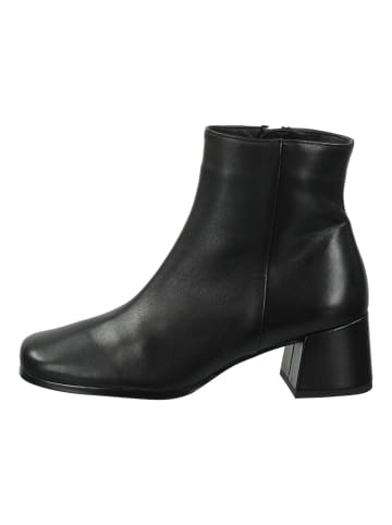 Högl Stiefelette in Schwarz