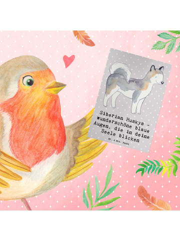 Mr. & Mrs. Panda Klappkarte Siberian Husky Augenzauber mit Spruch in Grau Pastell