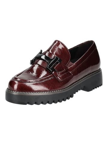 Gabor Slipper in Burgundy