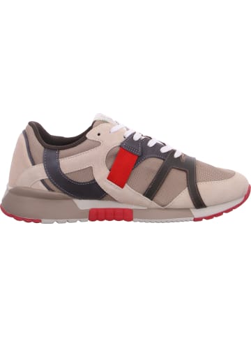 Scotch & Soda Sneaker Vivex in Beige