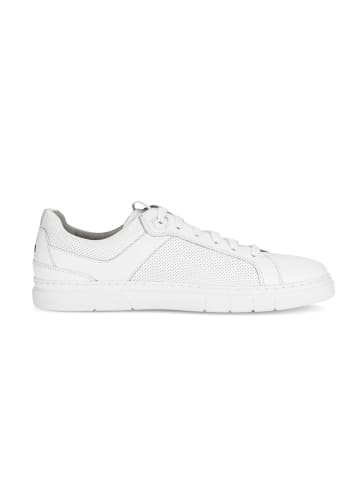 Pius Gabor Sneaker low in weiß