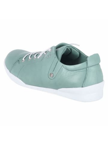 Andrea Conti Schnürhalbschuh in green