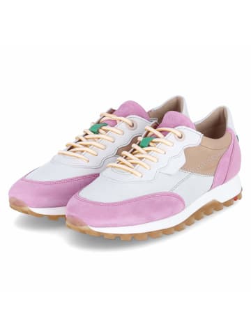 LLOYD Low Sneaker NORA in Mehrfarbig