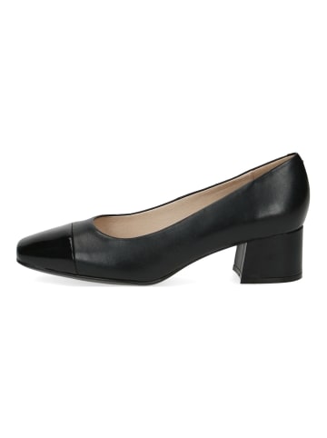 Caprice Pumps in Schwarz