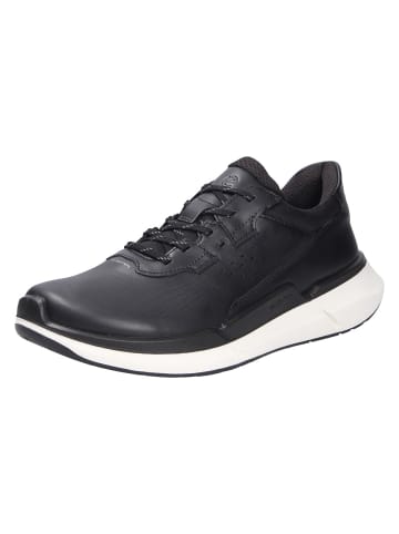 Ecco Schnürschuh in schwarz