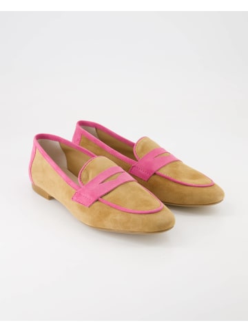 Terry Slipper in Braun