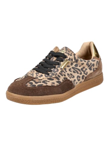 Steve Madden Sneaker in Leopard