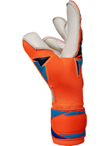 Reusch Torwarthandschuhe Attrakt Gold X Evolution in 2290 shocking orange/blue