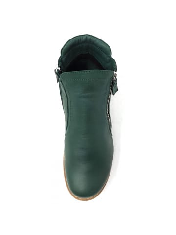 Andrea Conti SHOES Stiefel  in Grün