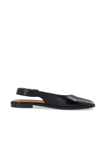 Bianco Ballerinas in Black
