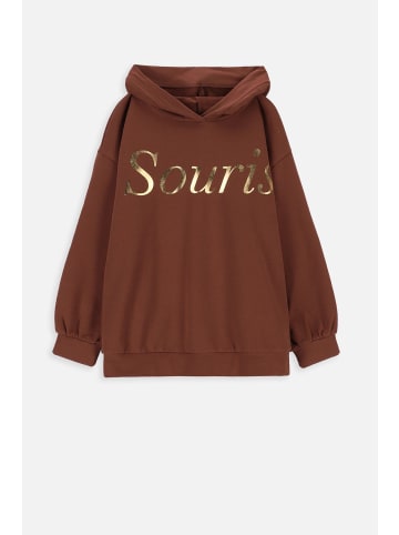 Coccodrillo Sweatshirt in braun
