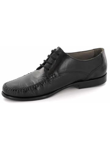 Galizio Torresi Schnürschuhe in schwarz