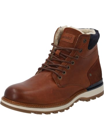 palado Schnürstiefel in cognac cognac navy