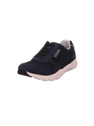 Pius Gabor Sneaker in blau