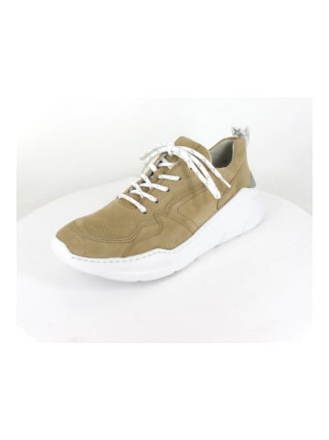 Paul Green Sneaker in Beige