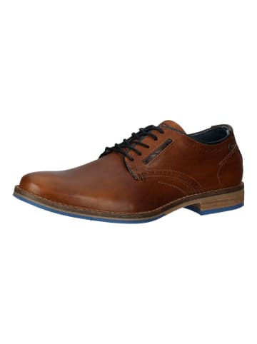 Bullboxer Businessschuhe in Cognac