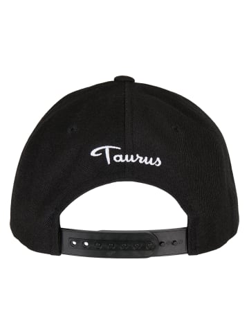 Mister Tee Snapback in taurus