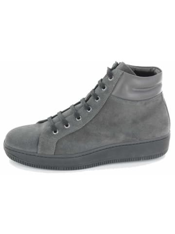 LANCIOR Stiefeletten in grau