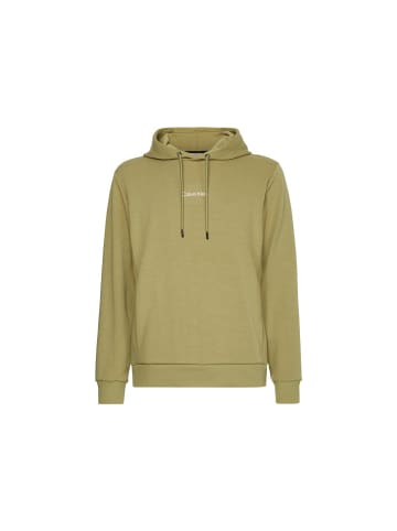 Calvin Klein Sweatshirt in sage