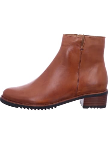 Everybody Chelsea Boot in braun