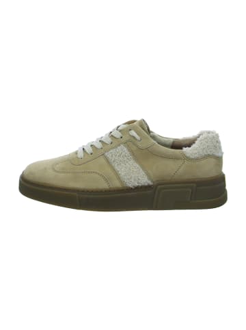 Paul Green Sneaker Low in Beige