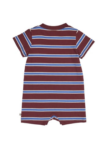 müsli Spieler in Russet/ Azure blue/ Tofu