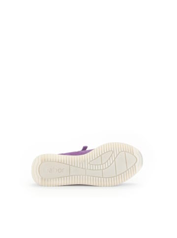 Gabor Fashion Sneaker low in lila