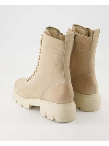Paul Green Schnürstiefeletten in Beige