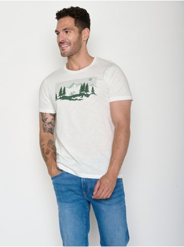 GreenBomb Spice Bike Mountain Pines in Moonstone